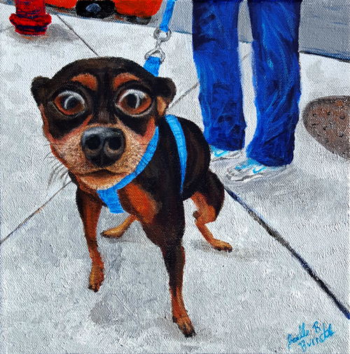 dog-sidewalk_joelleburnette2015_x500